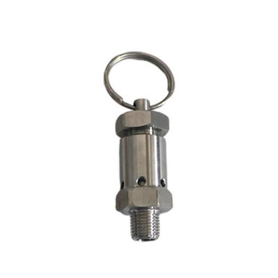 Mini Stainless steel pressure relief valve safety valve with 1/4'' port for recovery tank of extractor